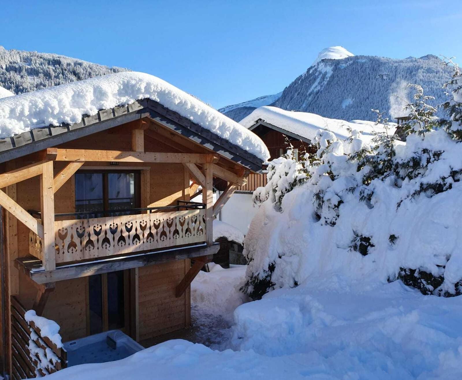 Chalet Delphinette - Spa Privatif مورزين المظهر الخارجي الصورة